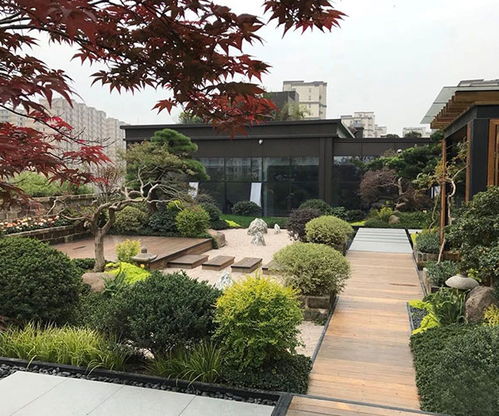 山東大道園林商家推薦 林地與濕地規(guī)劃設(shè)計哪家好