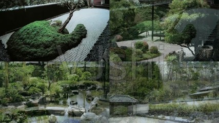 日本園林古典建筑植物溪水巖石樹林