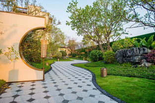 聚焦聽音湖,國家5a風(fēng)景區(qū)將有大事件發(fā)生