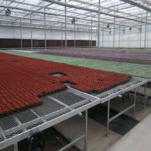 2020苗床價格 報價 苗床批發 第2頁 園林網