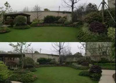 園林綠化及園林綠化施工全解 從設(shè)計(jì)到實(shí)施